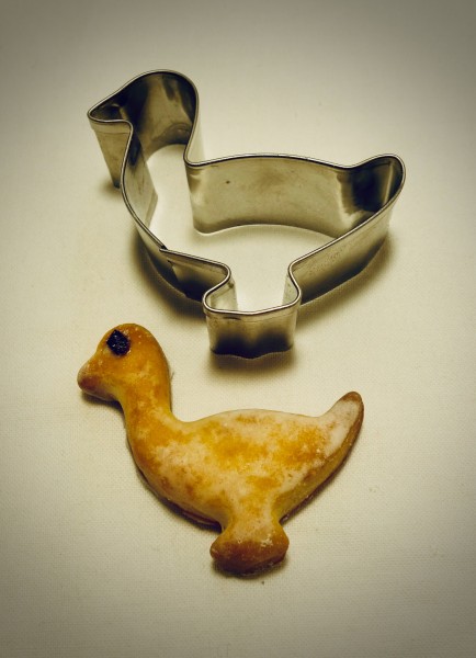 Gans
