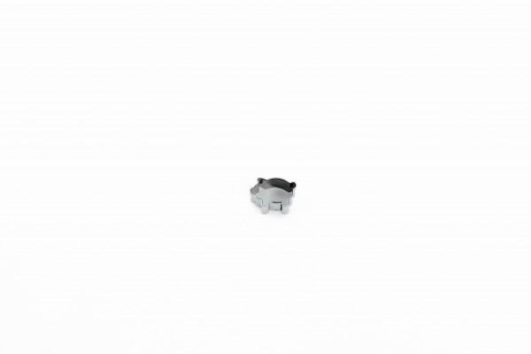 Schwein - Mini